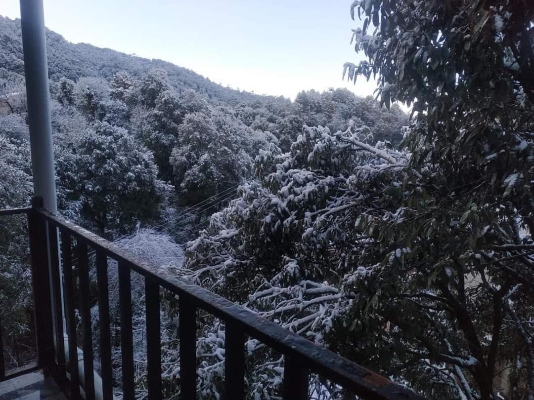 Oak Wood Homestay Banikhet Dalhousie Exteriér fotografie